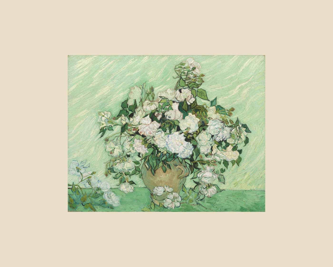 Roses, beige border