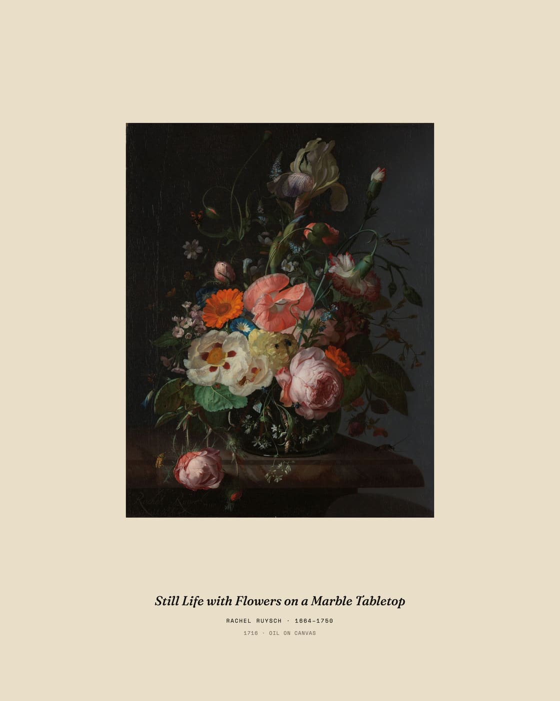 Still Life with Flowers on a Marble Tabletop, museum caption