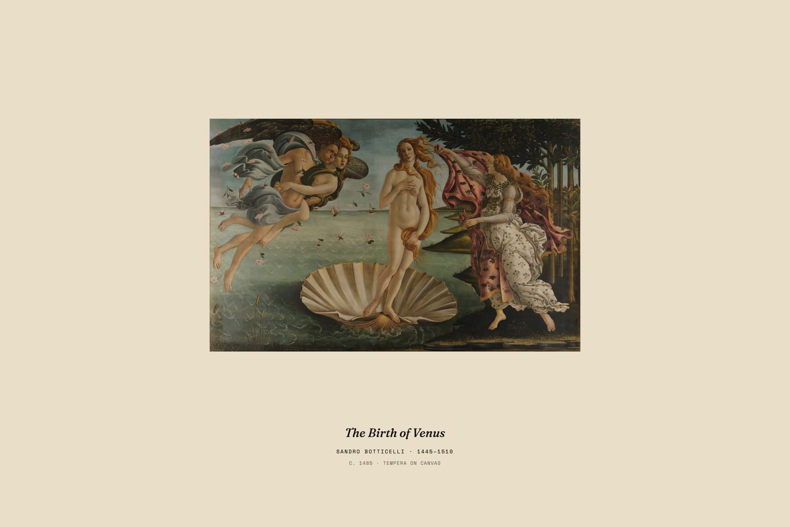 The Birth of Venus, museum caption