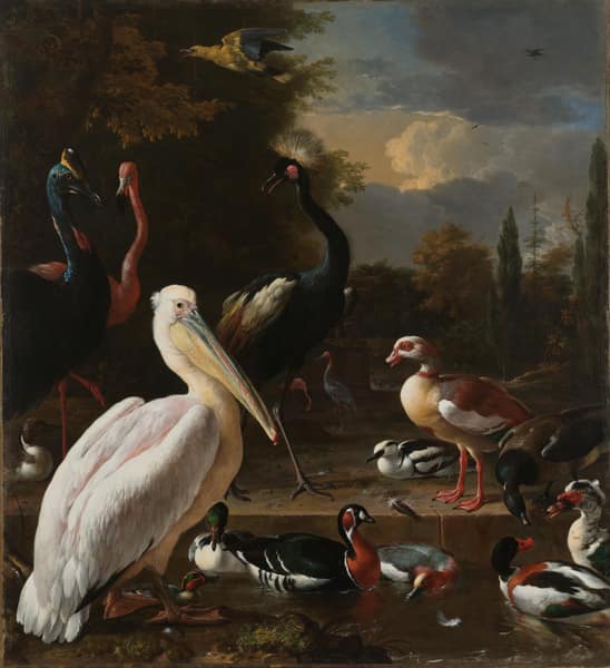 The Floating Feather