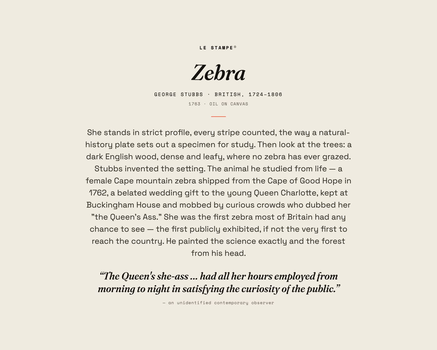 Zebra, story print